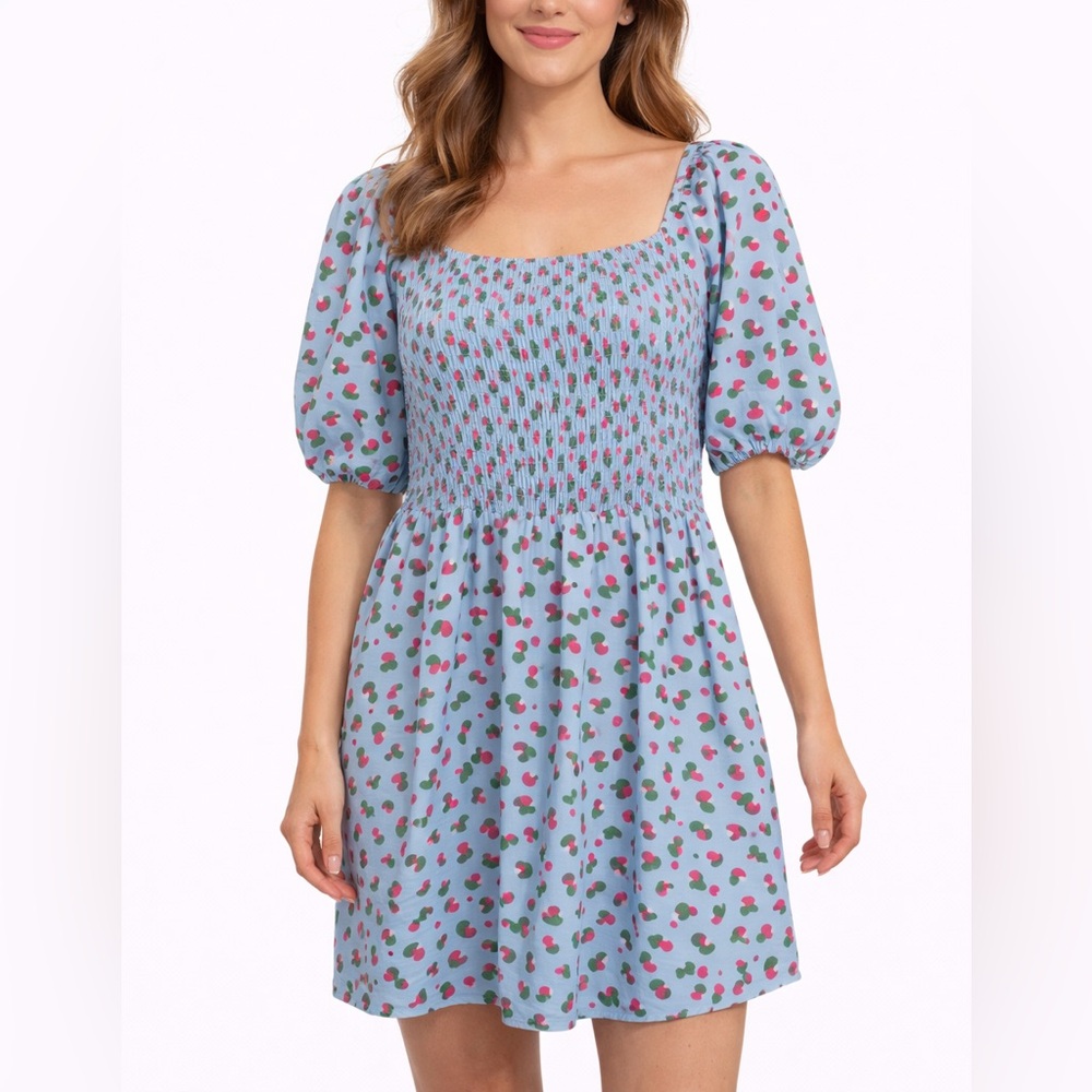 Michelle McDowell Size XL Smocked Puff Sleeve Chic Blue and Pink Patterned Dress